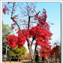 부평공원 이미지