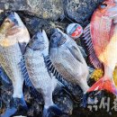 물돌이민박 이미지