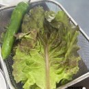 명숯불갈비 | 서대문구 홍제동 무악재역 명숯불갈비 본점직영점 고기 맛집 솔직후기