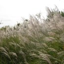 한밭수목원 서원 이미지