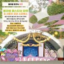 블라썸 이미지