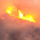 주왕산면사무소 이미지