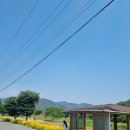 순흥보건지소 이미지