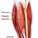 하이본병원 이미지