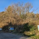 제일물산 이미지