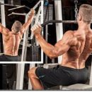 빈센트 핏 이미지