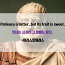 이신영어