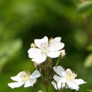 고향산촌 이미지