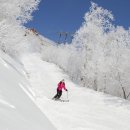 세이메드 이미지