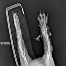 우리들동물병원 이미지