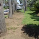 드림캐슬펜션 이미지