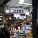 연예인환경보호협회 | 토요일 남대문시장 쇼핑하울(대충 후기) 사우나방석, 문어괄사, 키디파크 etc ..