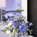 에이피산업개발(주) | 에이피 뷰티(AP BEAUTY) AP M.D. 스킨 세미나에서 물광 리프팅 세럼을 만나봤어요