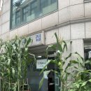 본도시락 밀양점 | 밀양손칼국수 | 성북동 사골칼국수 맛집 진짜 솔직한 후기