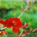 대천농장 이미지