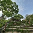 카페세도