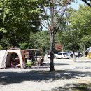 장흥생활체육공원 이미지