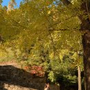 혜인식당 이미지