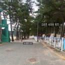 울산근교 캠핑장 진하해수욕장 울주해양레포츠센터 캠핑장 B9후기