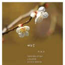 시화전 이미지
