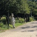 오피피시방 이미지