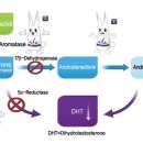 알파약국 이미지