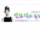 연보석
