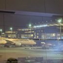 공항 | [일본] 인천 도쿄 아시아나 하네다공항 후기 기내식 항공권 특가 팁