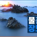 릴리즈 이미지