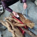 하대동135 이미지