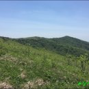 죽령감자탕 | [소백산(6), 어의곡-비로봉-천동주차장] 20190526