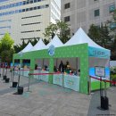 2025 피크민 블룸 투어 서울 후기 / 5월 4일 둘째 날 : PIKMIN BLOOM TOUR SEOUL