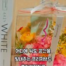썸머리플라워