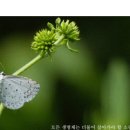자연과숲생태연구소 이미지