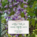 식물이야기 이미지