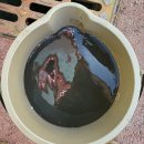 (유)완도환경중기 | [장유] 사무실 4웨이 에어컨 청소 후기 — 난방 시 검은가루 원인 완전 제거