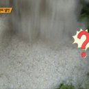 인생떡볶이 이미지