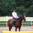 동서울 승마장 이미지