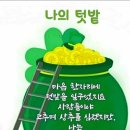 마음의꽃 이미지