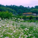 삼주1공인중개사사무소 이미지