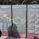 해양사 | 부산 여행 태종대, 주차장 위치와 영도등대와 전망대까지, 다누비열차 이용 후기