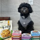 동그랑댕 이미지