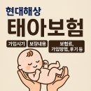 현대실업 | 현대해상 태아보험 [가입시기, 보장내용, 보험료, 가입방법, 후기 등]