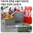 서초중앙로22길 62 | 서울게임그래픽학원 3DMAX 국비지원은 여기서