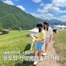 시선목장 | 태백 아이와 가볼만한 곳 몽토랑 산양목장 후기, 먹이주기 체험부터 뷰카페까지