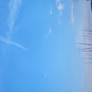 풍경운동장 이미지