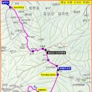 10월 26일 홍성 오서산 억새꽃,광천 젖깔시장 이미지