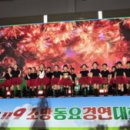 울산유치원 이미지