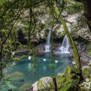 서귀포약국 이미지