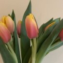 현대꽃상회 이미지